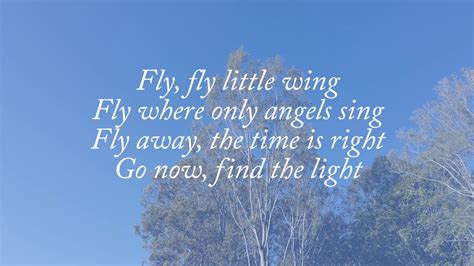 fly lyrics celine|fly by Celine dion youtube.